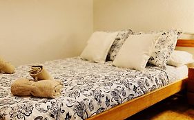 Pau - Room In Shared Apartment Euroviajeros